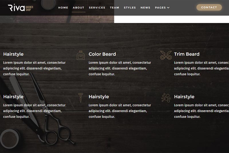 spa web design sample